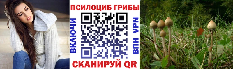 площадка какой сайт  где купить наркоту  Северодвинск  Псилоцибиновые грибы MAGIC MUSHROOMS  МЕГА  